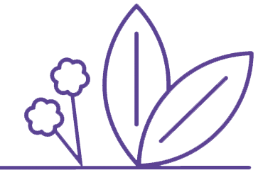 Fleur estivales violette
