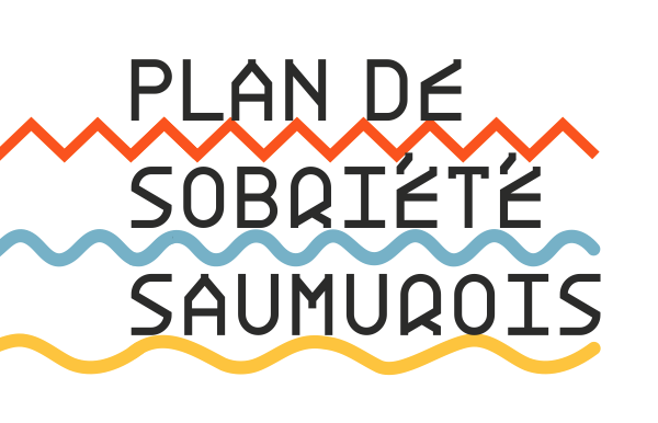 logo PSS