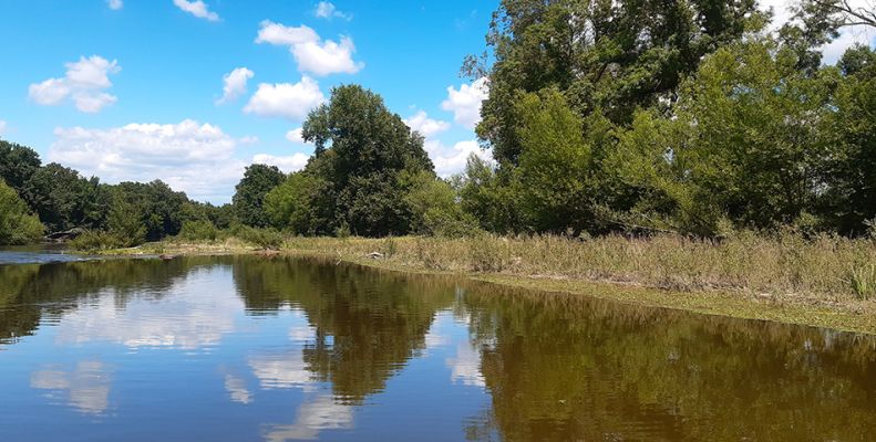 Rallye nature : à la découverte de la biodiversité du Thouet