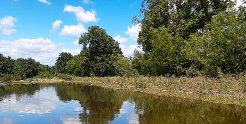 Sortie nature : Comment fonctionne le Thouet ?