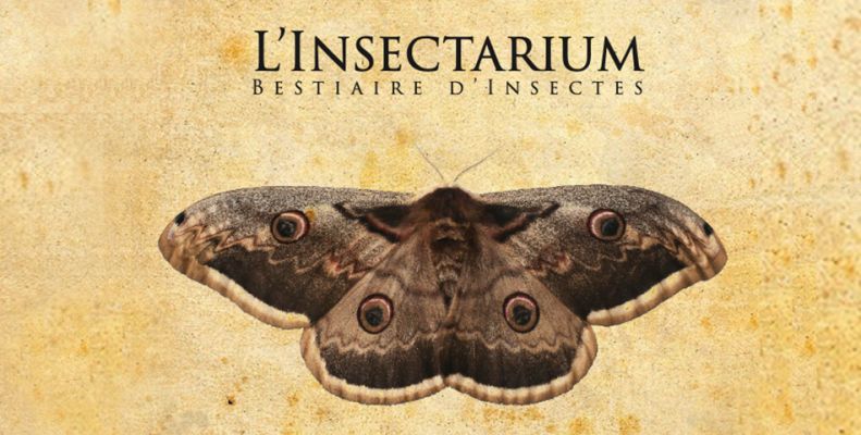La Compagnie Quart de Soupir présente son spectacle L'Insectarium : Bestiaire d'insectes au bord du Thouet