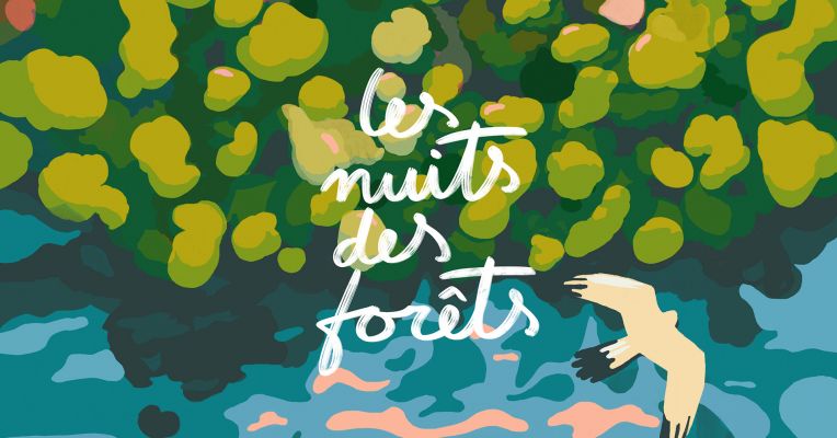 Nuit des forêts 2025 : un week-end d'animations en pleine nature