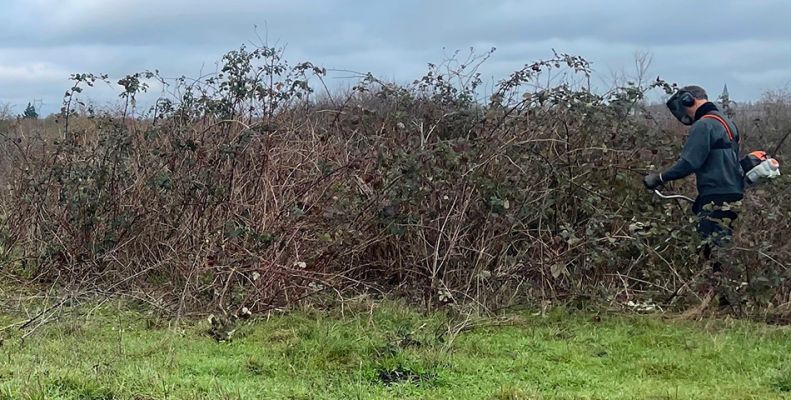 La Réserve naturelle régionale de la Champagne de Méron poursuit la mise en œuvre de son plan de gestion