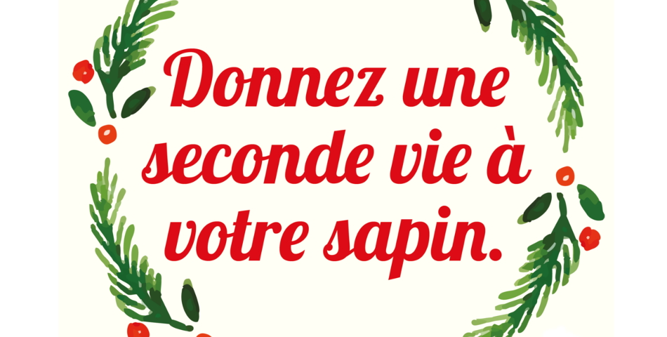 Collecte des sapins de Noël