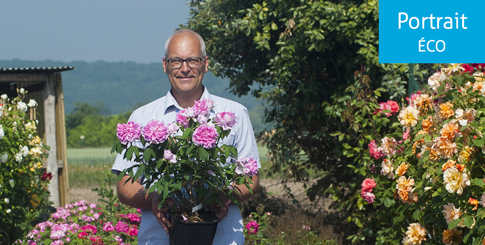 Roses Loubert aux Rosiers-sur-Loire : 2 500 nuances de rose