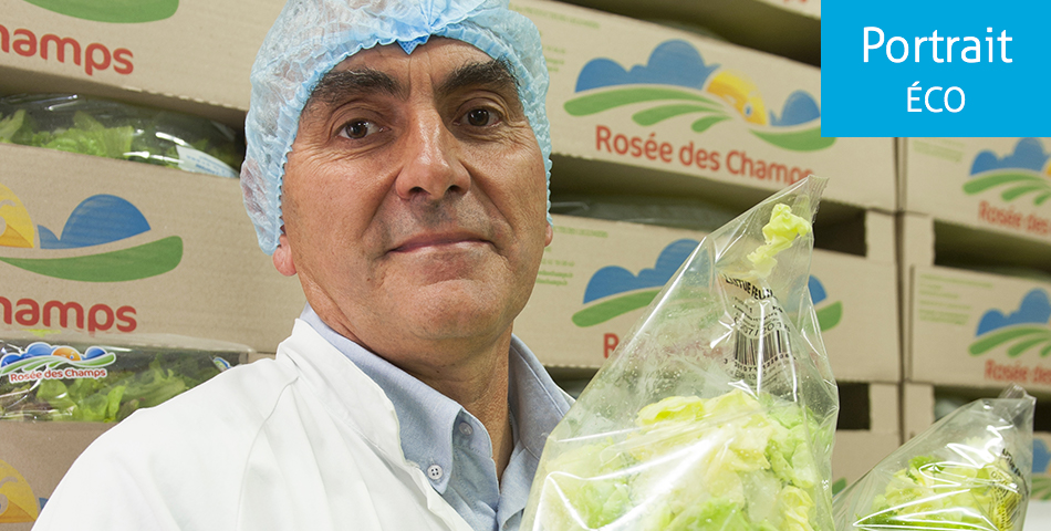 Doué-en-Anjou : Rosée des Champs, la coopérative des producteurs légumiers