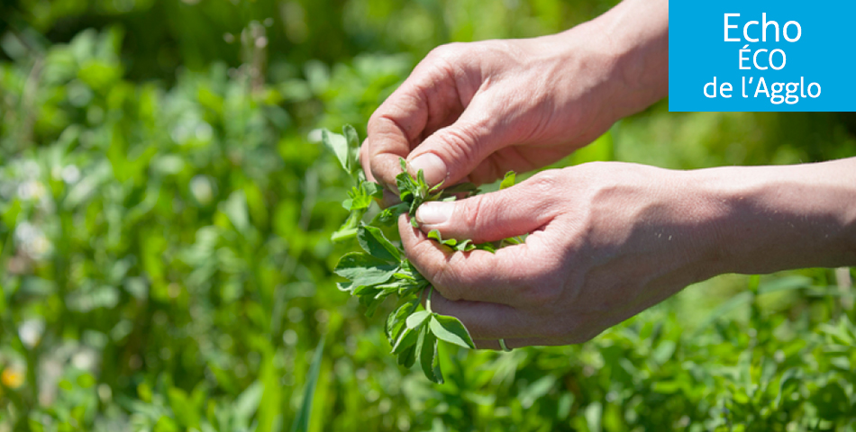 Crise sanitaire : les mesures pour le secteur agricole