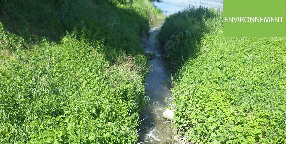 Saumurois : l'Agglomération lance un diagnostic sur le cours d'eau de l'Arceau et sur ses affluents  