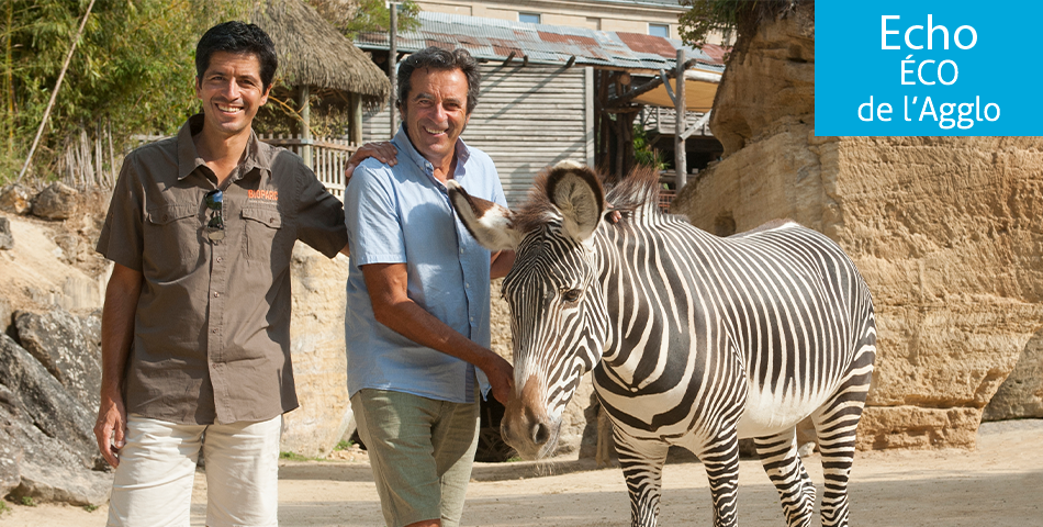 Doué-en-Anjou : au Bioparc, le spectacle est dans la nature