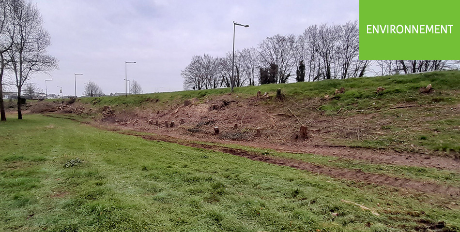 L’Agglomération Saumur Val de Loire va entreprendre la 2è phase des travaux de sécurisation de la digue de Saumur