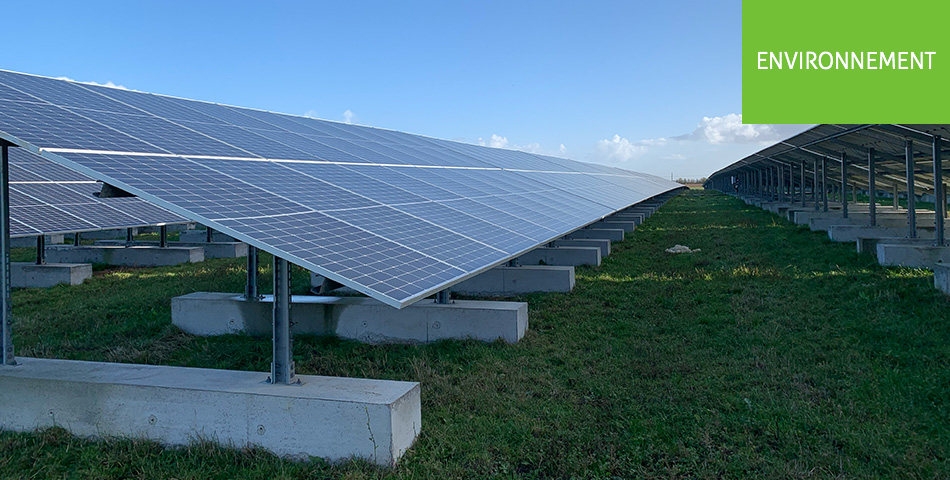La centrale solaire de Champ de Liveau à Montreuil-Bellay inaugurée ce mardi 7 novembre 2023
