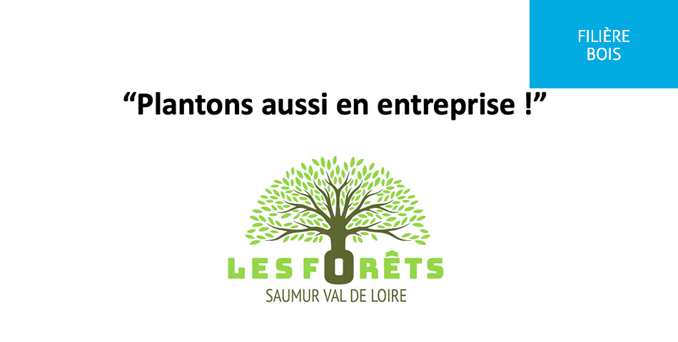 Plantons aussi en entreprise !