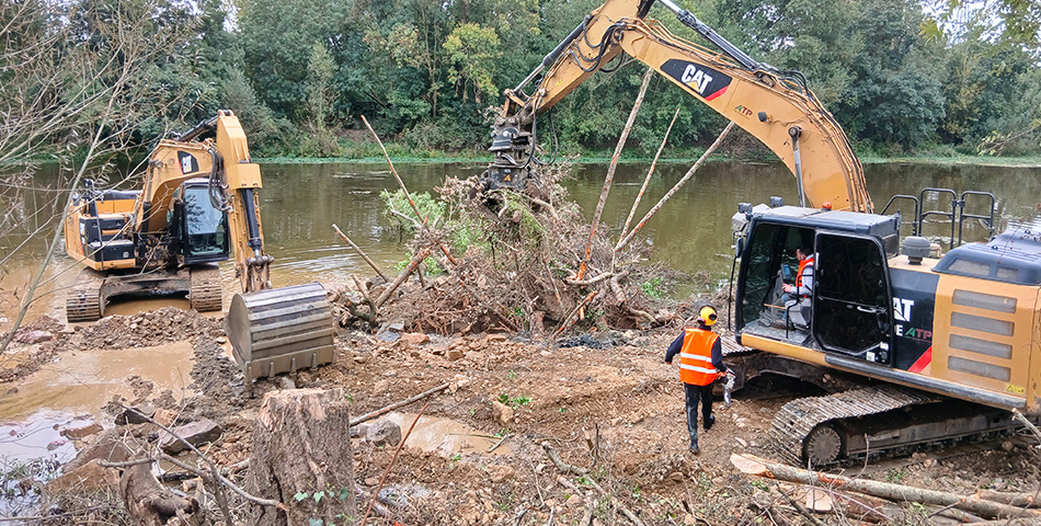 Le bois, un allié naturel pour la santé de nos rivières