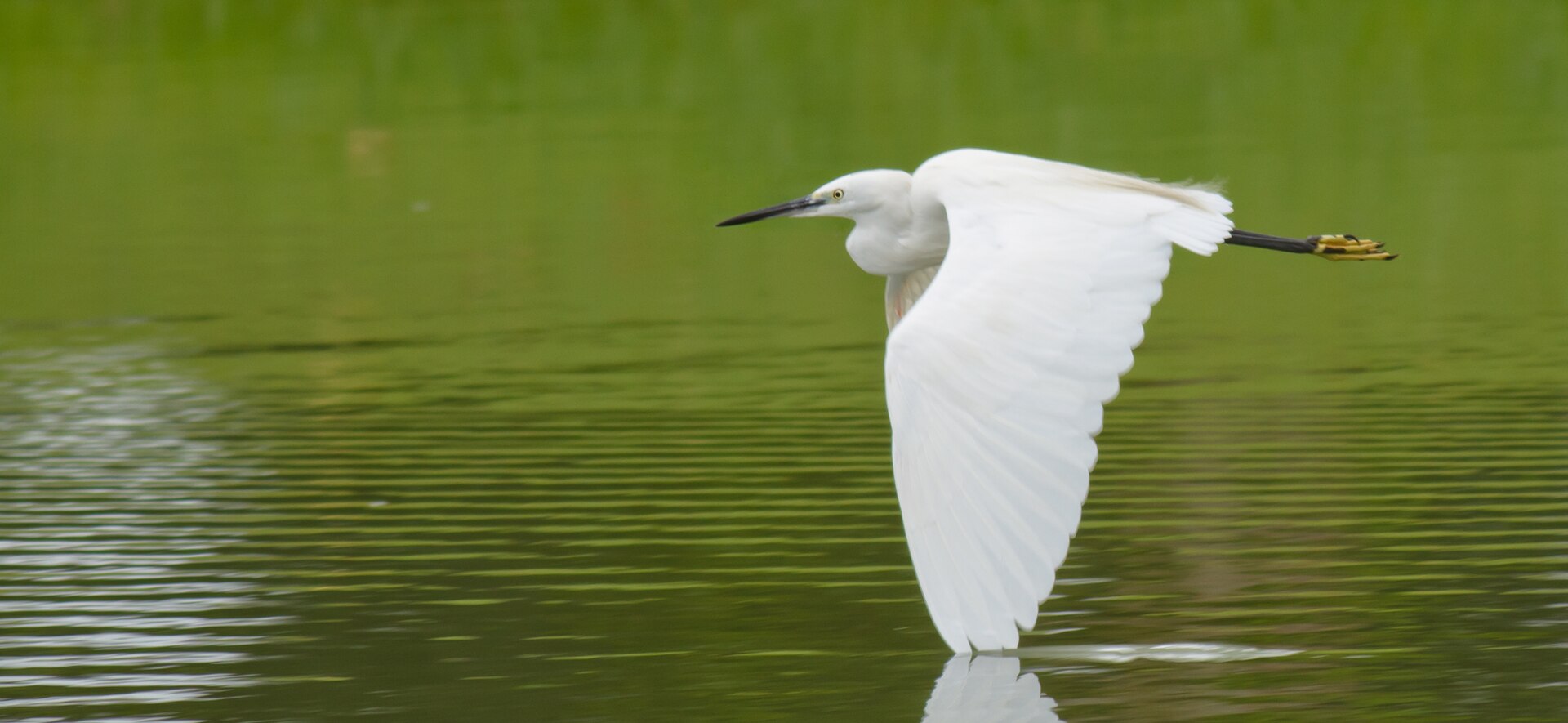 Découverte de la biodiversité des bords du Thouet