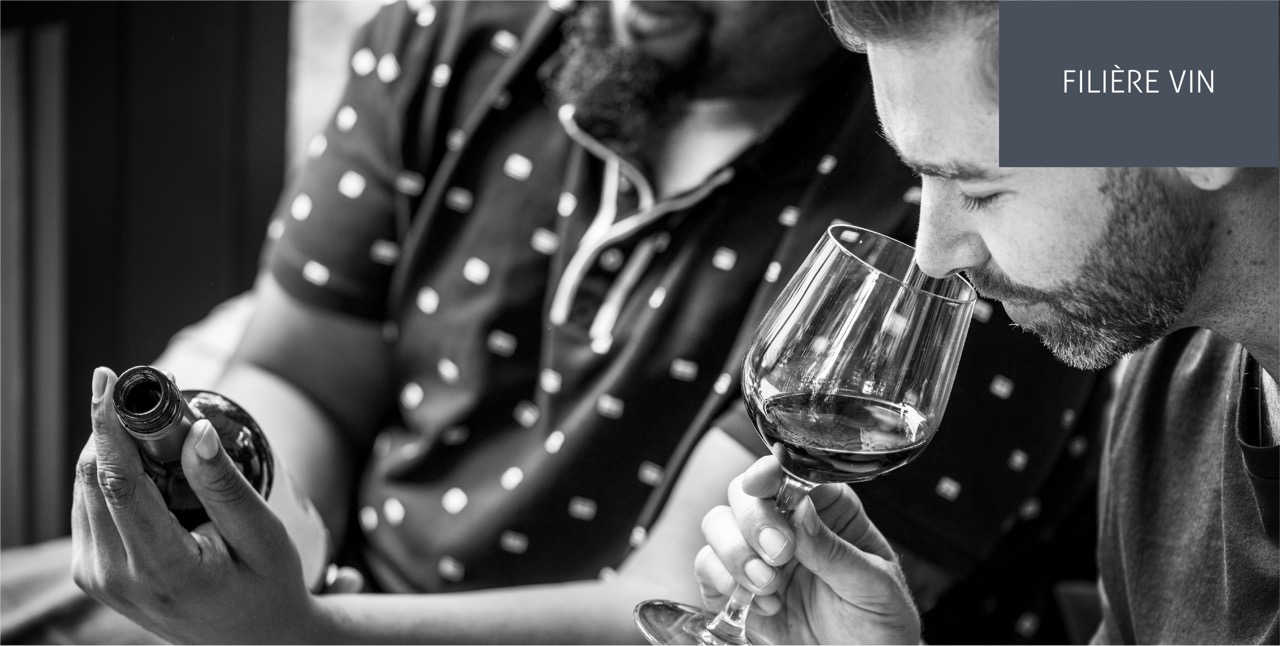 Ateliers d'œnologie de septembre 2024 à juin 2025