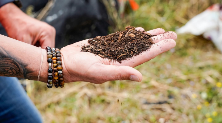 Lombricompostage : Offrez un coup de pouce à votre jardin et à vos plantes pour le printemps ! 