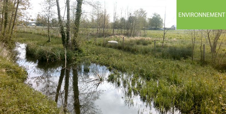 Inventaire des zones humides Nord Est Saumurois : mise en consultation des résultats provisoires jusqu’au 26 février 2021