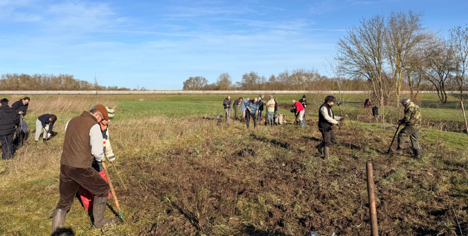 Une micro-for&ecirc;t plant&eacute;e &agrave; l&rsquo;Ecoparc : l&rsquo;Agglom&eacute;ration mobilis&eacute;e