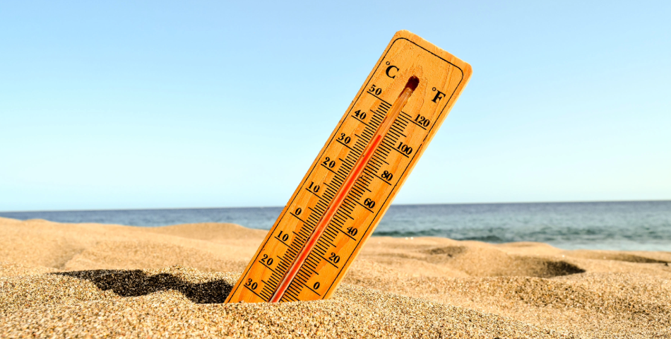 Vigilance canicule