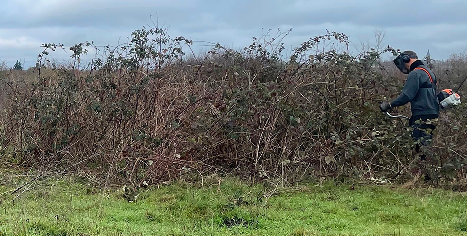 La R&eacute;serve naturelle r&eacute;gionale de la Champagne de M&eacute;ron poursuit la mise en &oelig;uvre de son plan de gestion